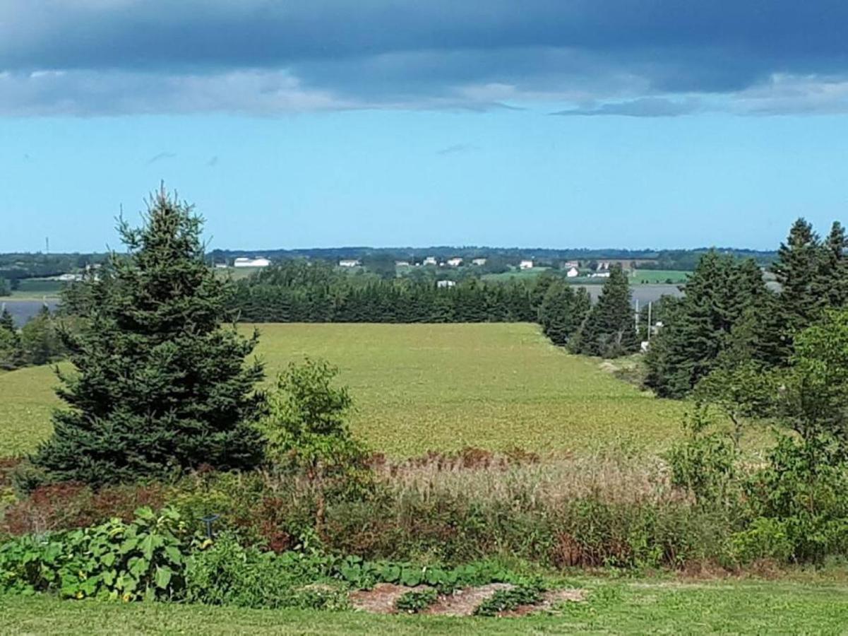 Golfers Haven 4 Bd 20 Min Chtown Central Pei Villa Rice Point Luaran gambar